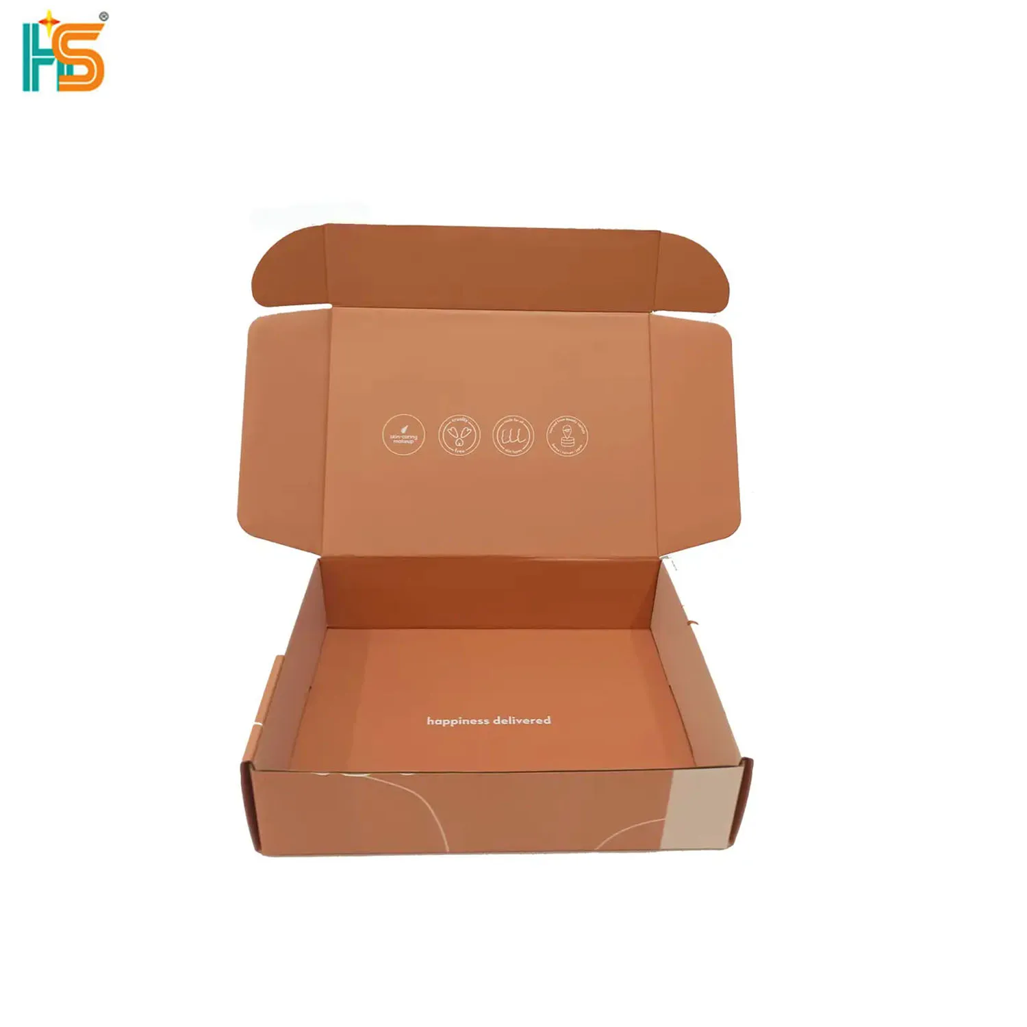 Custom Logo Printed Ear Lock Corrugated Cardboard Paper Packaging Mailer Postal Shipping Box