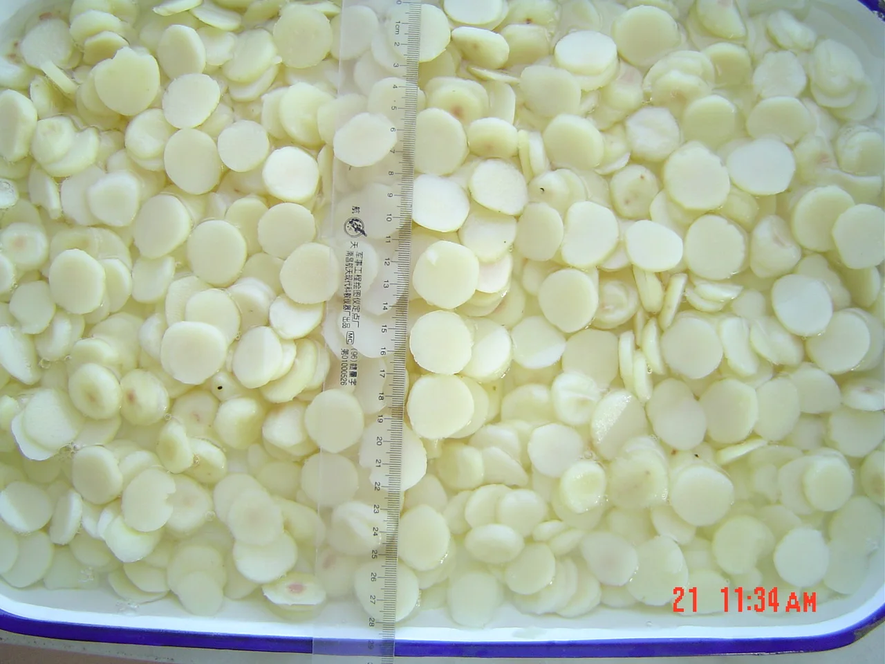 
Canned Water Chestnuts in Tins Can 