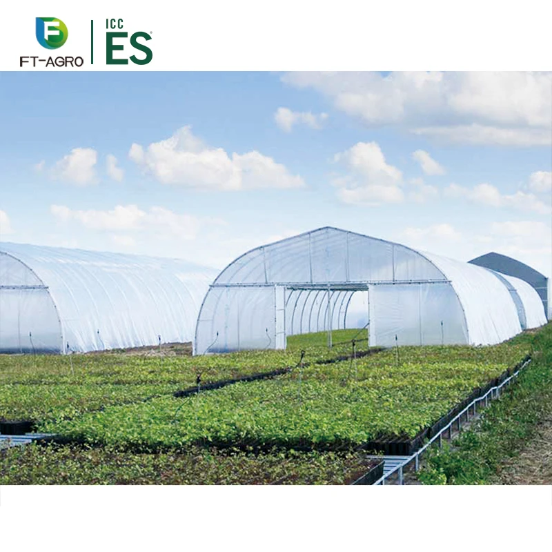 Single Span  plastic film Agricultural Greenhouses