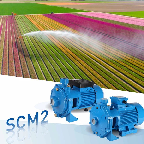 High Head Centrifugal Water Pump 4KW AC Motor Double Impeller Three Phase Steel Construction for Irrigation and Agriculture