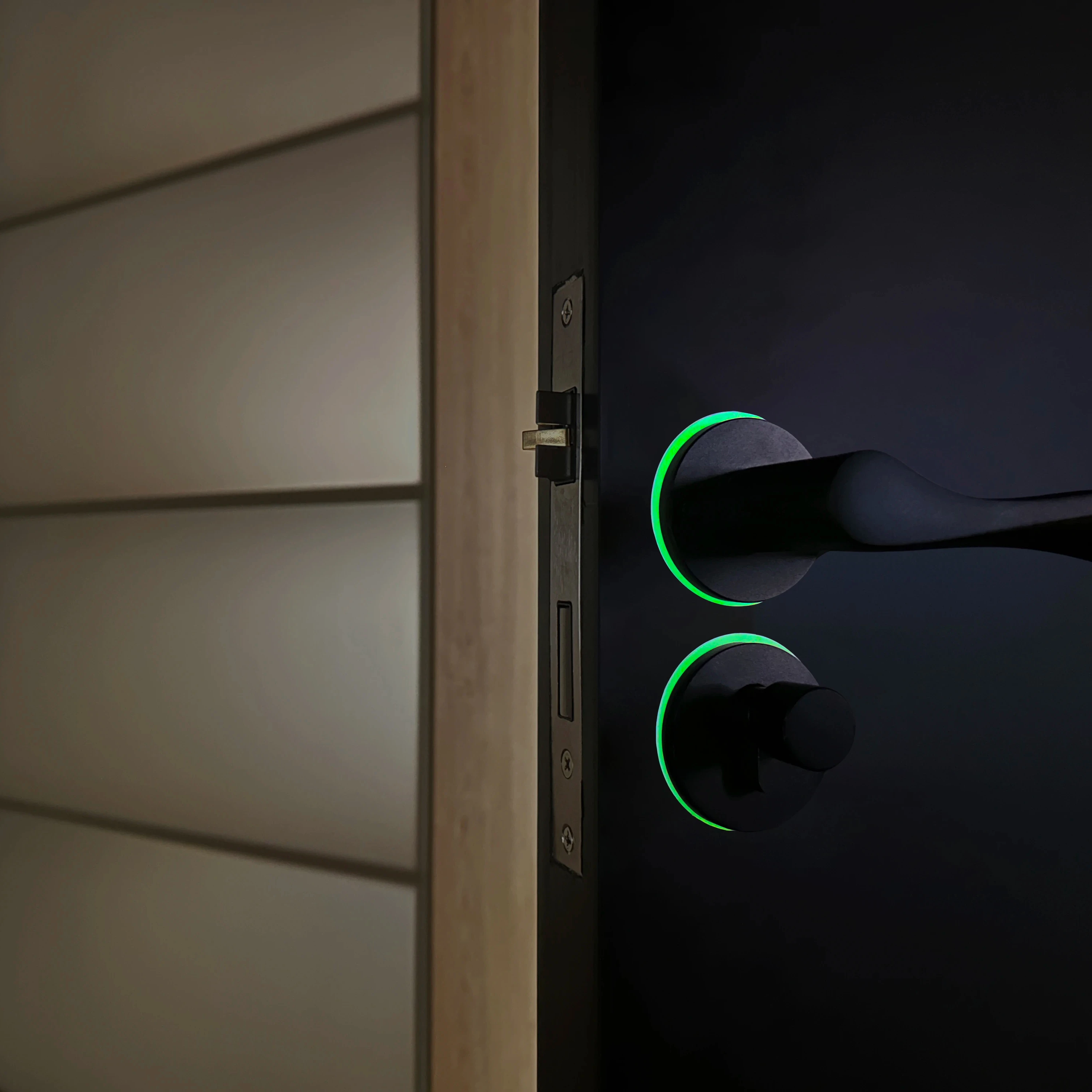 luminous+illuminated  stainless steel door handle