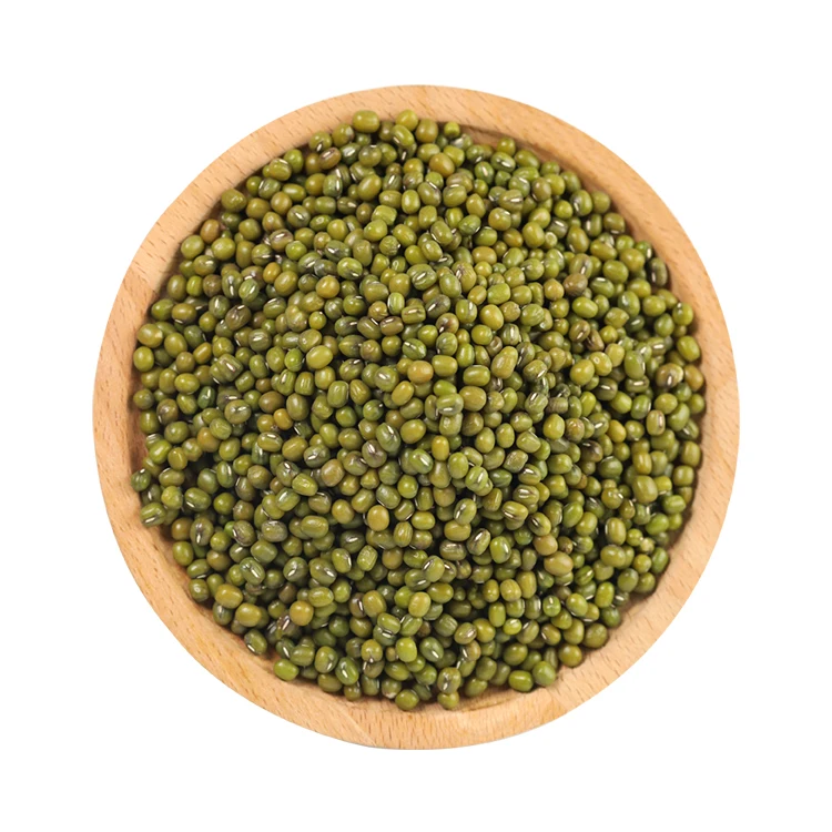 Hot Sale China Manufacture Quality Round Green Mung Bean