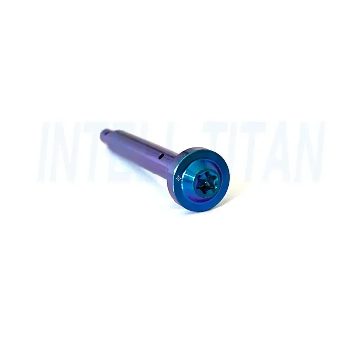 M6 Titanium Bolts for Bicycle Disc Brake Pad Ti Threaded Pin Inserts Screw for Hydraulic Disk Caliper
