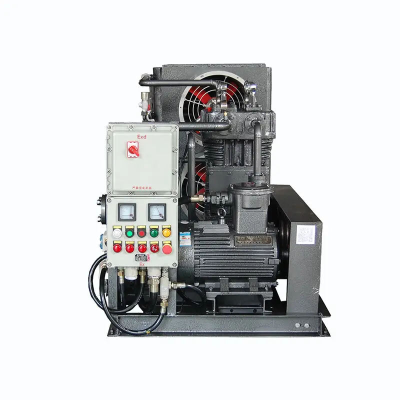 Manufacturer Custom Gas Compressor Biogas to Cng Convator Machine Biogas Digester Compression for Biogas Transmission