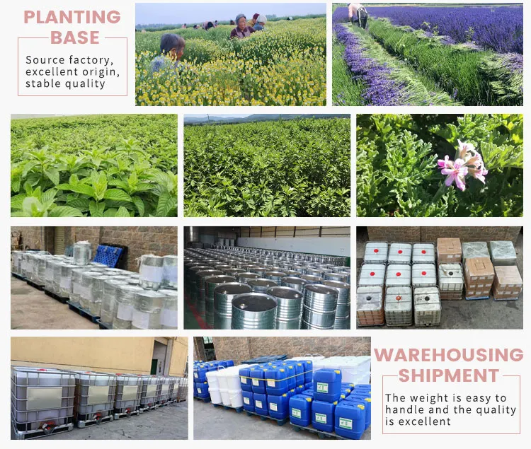 Manufacturers Supply Organic Dark Pepper Black Pepper Oil for Relieve Mood