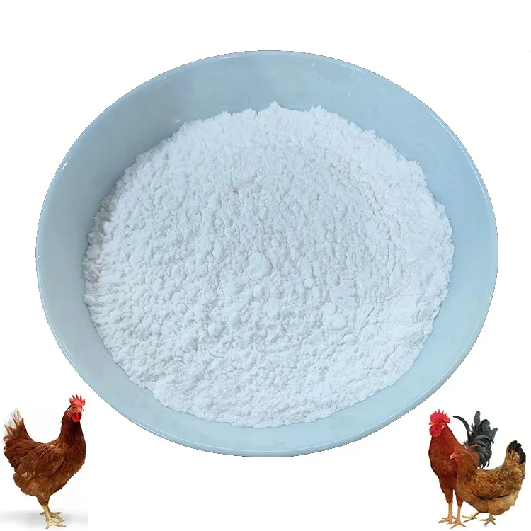 Factory Directly Supply high quality 70% bile acid broiler feed additive amino acid for poultry bile acid