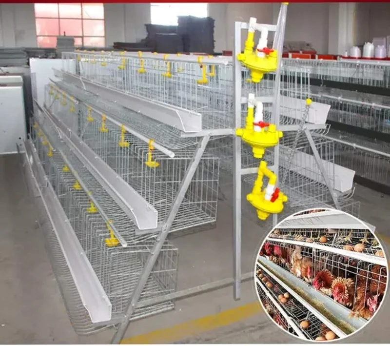 RD-3 tires layer cage 1
