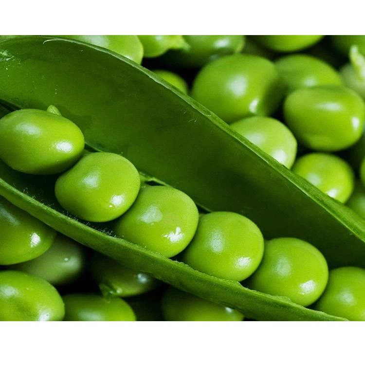 Оптовая продажа, зеленый горох, свежий замороженный зеленый горох