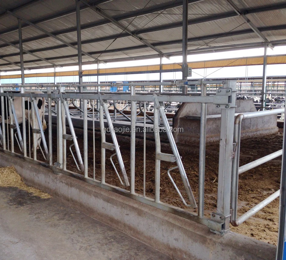 Cattle Headlock Gate Heavy Duty Cow Feeding Gate Panel with Galvanized Tube