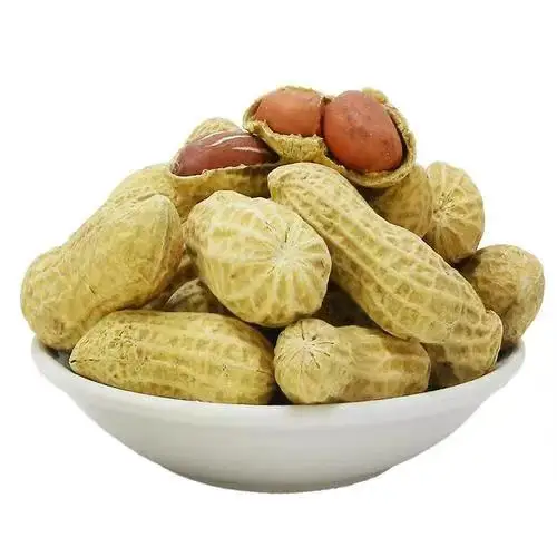 Factory Directly Wholesale Dried Roasted Peanuts/Groundnut in Shell Cheap Price Snack Use Peanut