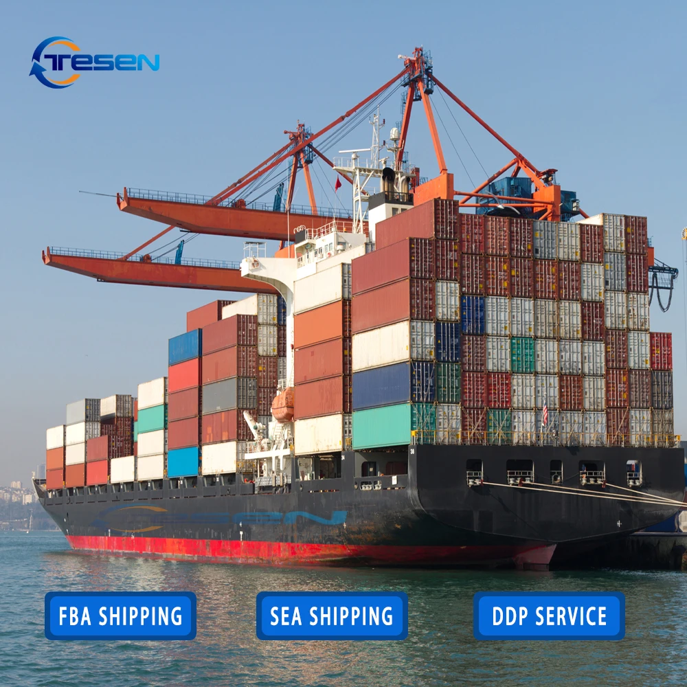 Top Cheapest Shipping agents From China To Usa Canada Europe lcl sea  and truck professional Logistics