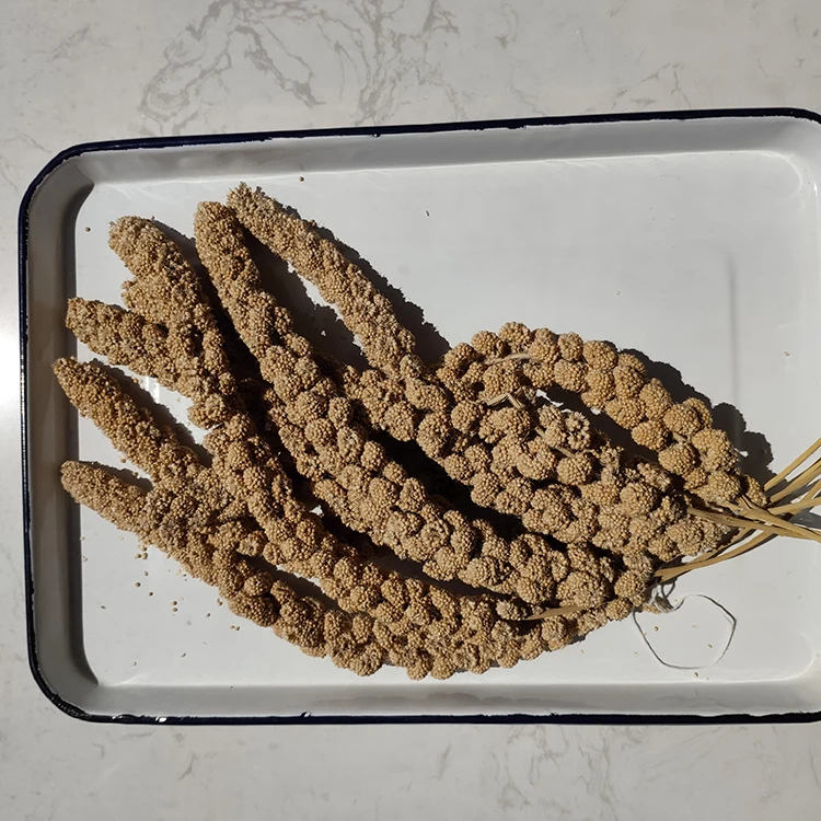 Распылитель желтого пса, Произведено в Китае, распылитель желтого пса на продажу