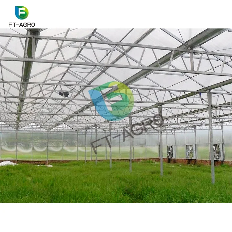 
multi span PC sheet economic polycarbonate agriculture commercial greenhouse 