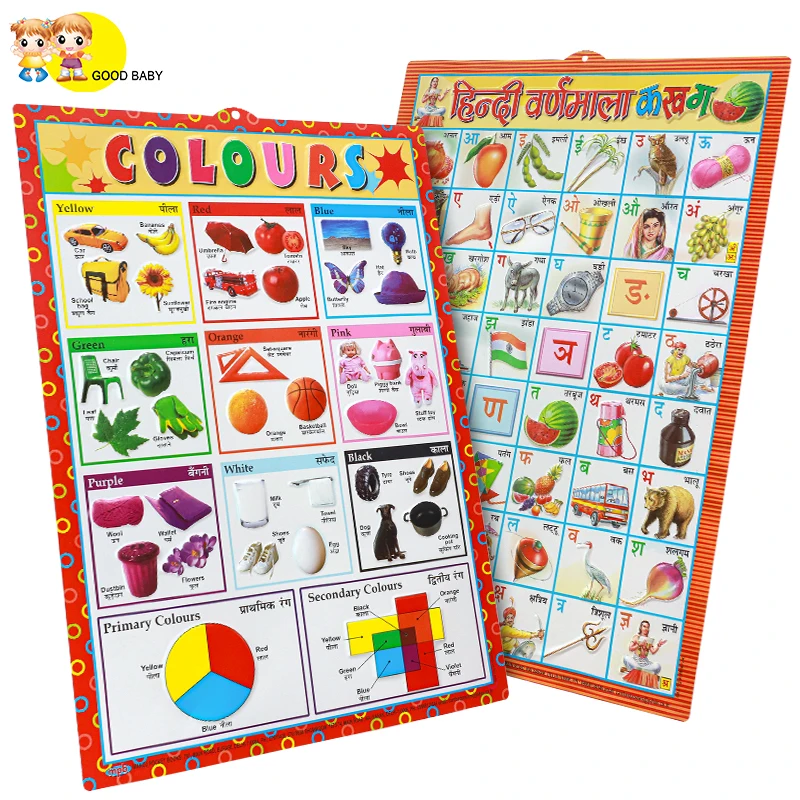 3D pet wall chart medical wall chart poster customized wall chart