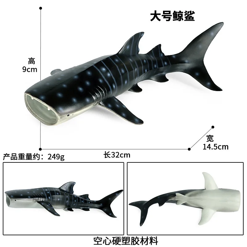 CJJ174 7520.jpg