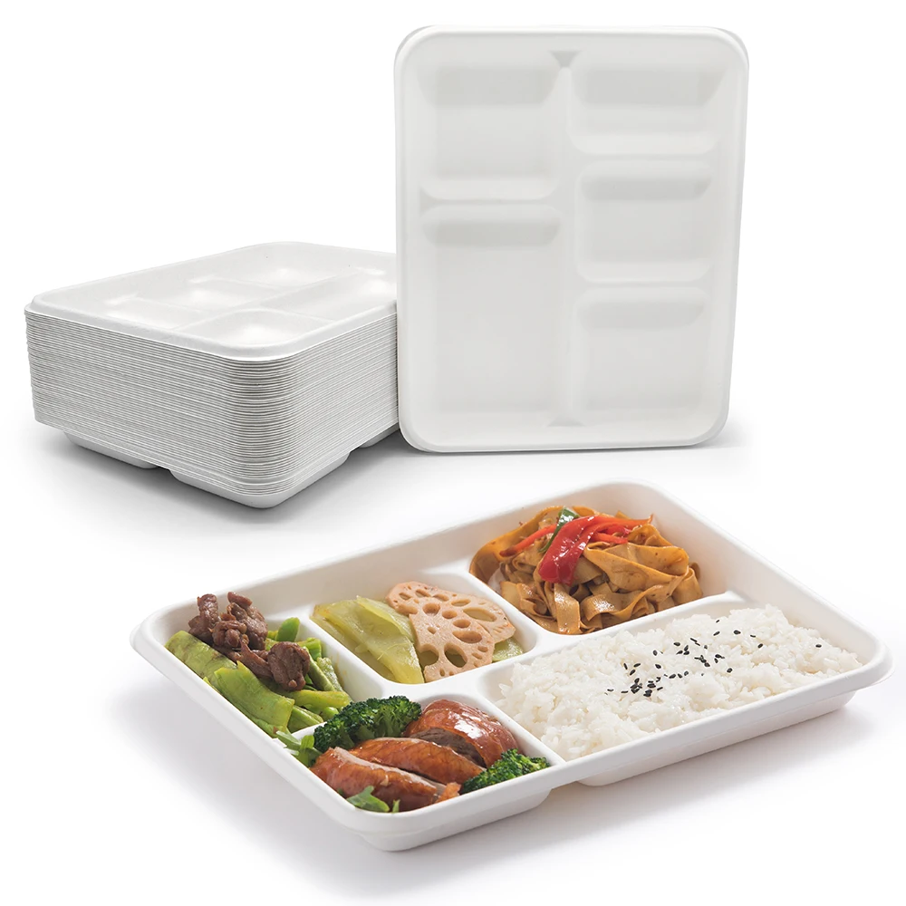 Food Tray Lunch Box Tray For Fastfood