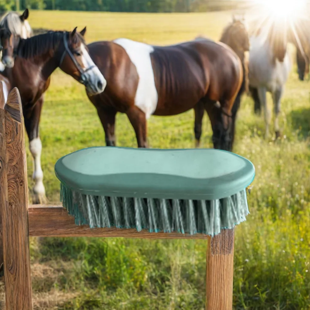 Plastic Horse Dandy Brush With Long Stiff PP Bristles Flick brush for Effective Horse care