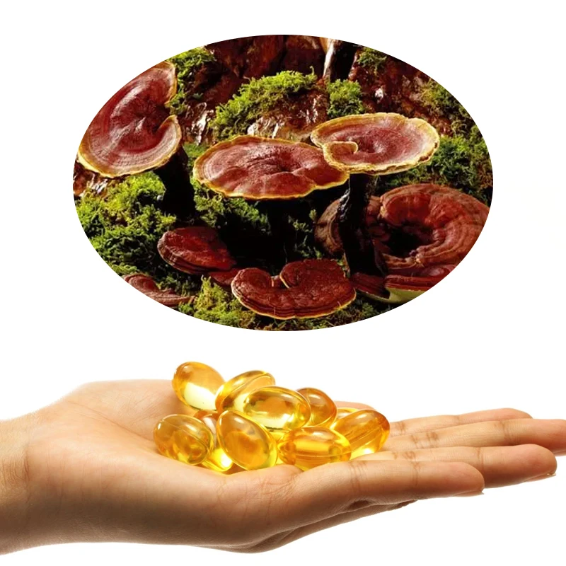 Lingzhi Ganoderma Lucidum Mushroom Extract Powder Spore Oil Capsules