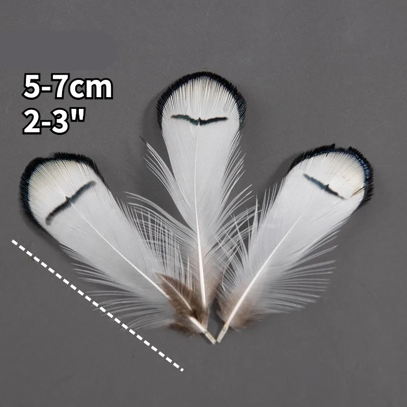 NATURAL WHITE Lady Amherst Pheasant Tippet Feathers, 5-7cm Natural Feathers For Wedding Decorations
