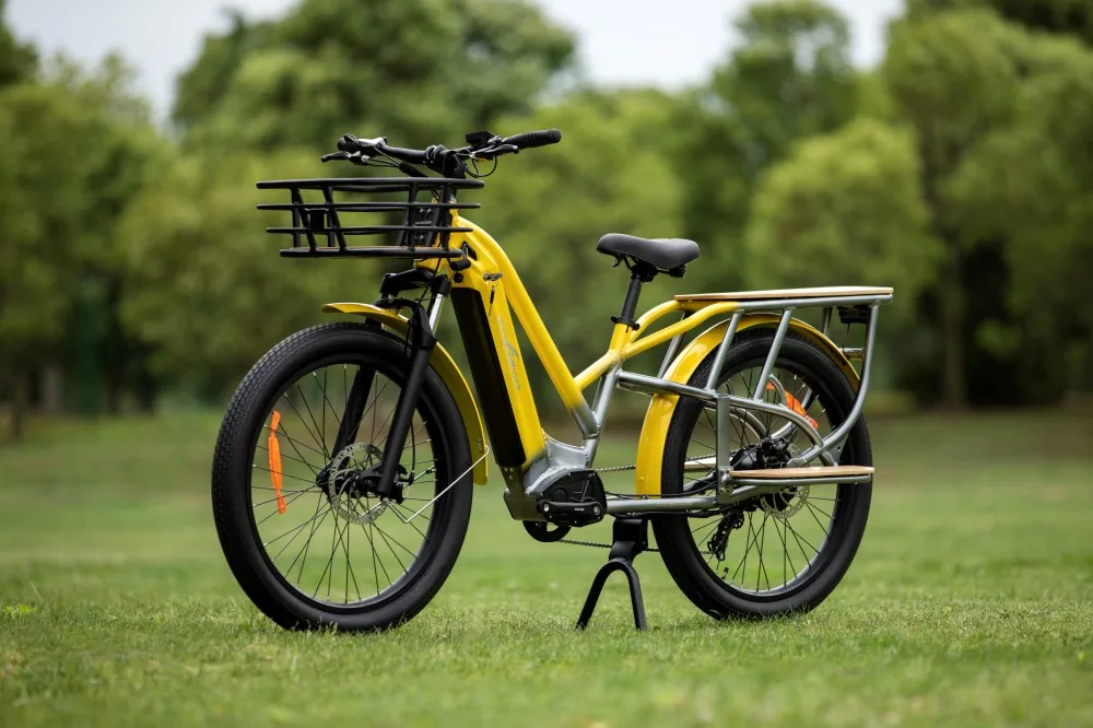 48V750W Brushless Motor ebike e-cargo e bicycle bike bicycle delivery electric bike 2 wheel electric cargo bike