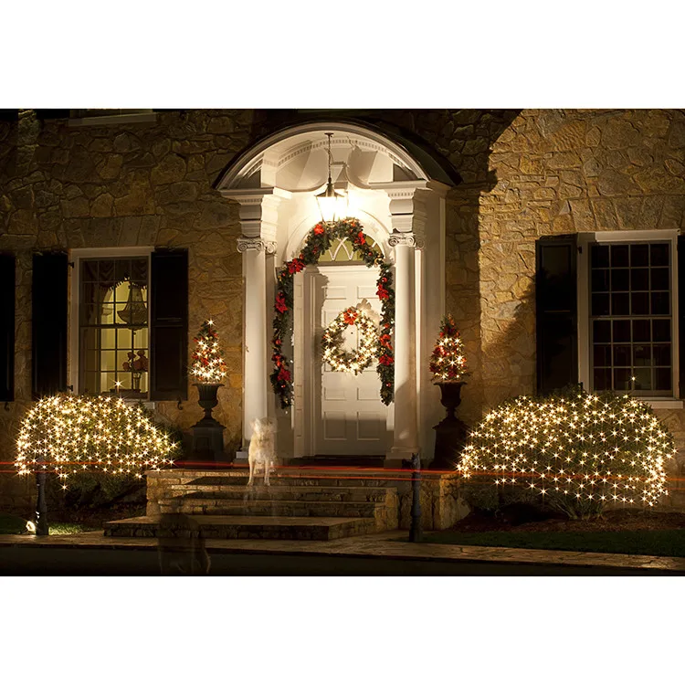 Outdoor Home Decoration Lamp Lights Christmas Net Light