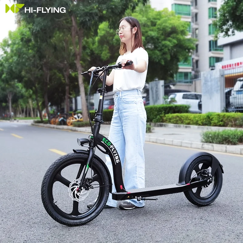 Wholesale China factory OEM ODM 350W 10Ah off road electric scooter big wheel folding e scooters