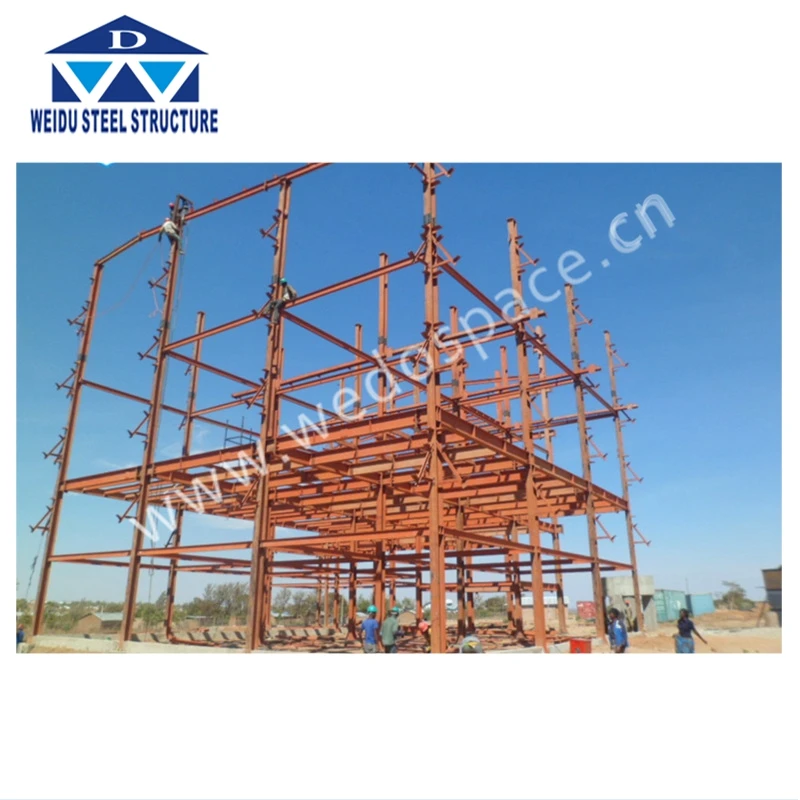 Slaughter House Processing Shed large span steel structure