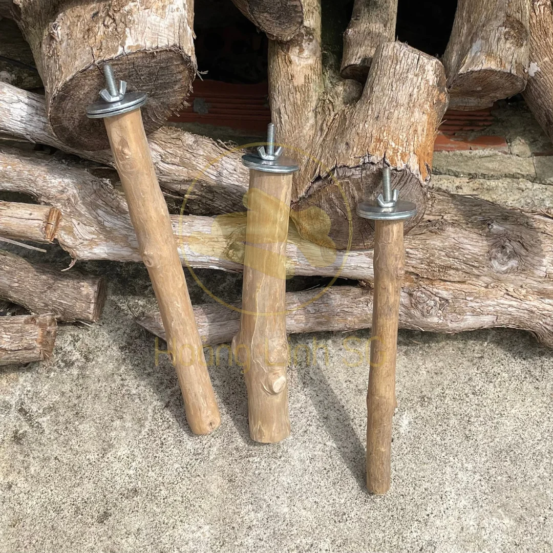 Coffee wood Bird Perches - Great product for birds  made  in Vietnam HOANG LINH SG Kimy +84938616690