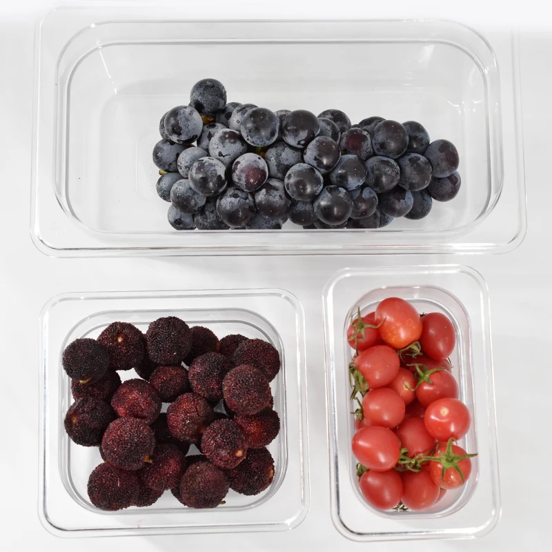 Polycarbonate  GN Pan Food Container Disposable Tableware for Hotel Restaurant Buffet Food Pan Ice Cream Container