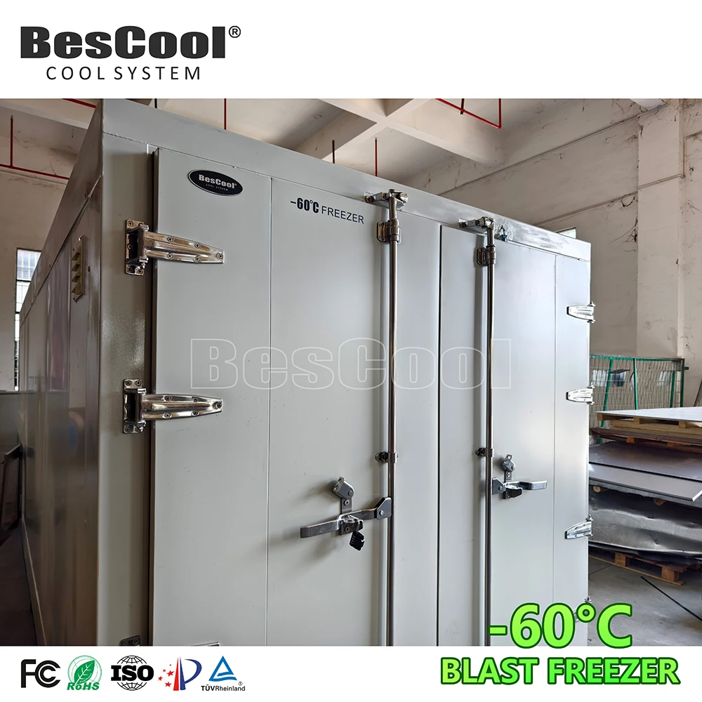Bescool новый продукт 60 ° С быстрое морозильное оборудование контейнер для хранения тунца распродажа
