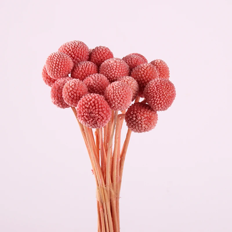 billy ball arrangement dried eternal mothers day wholesale preserve everlasting natural plants flower bouquet preserved flower