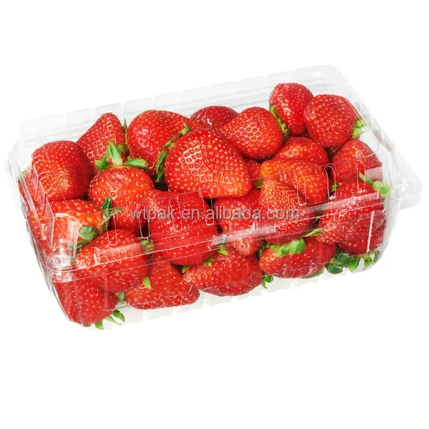 Smoothwall 2LB Strawberry Plastic Clamshell with Side Vents with Label Fruit Clamshell