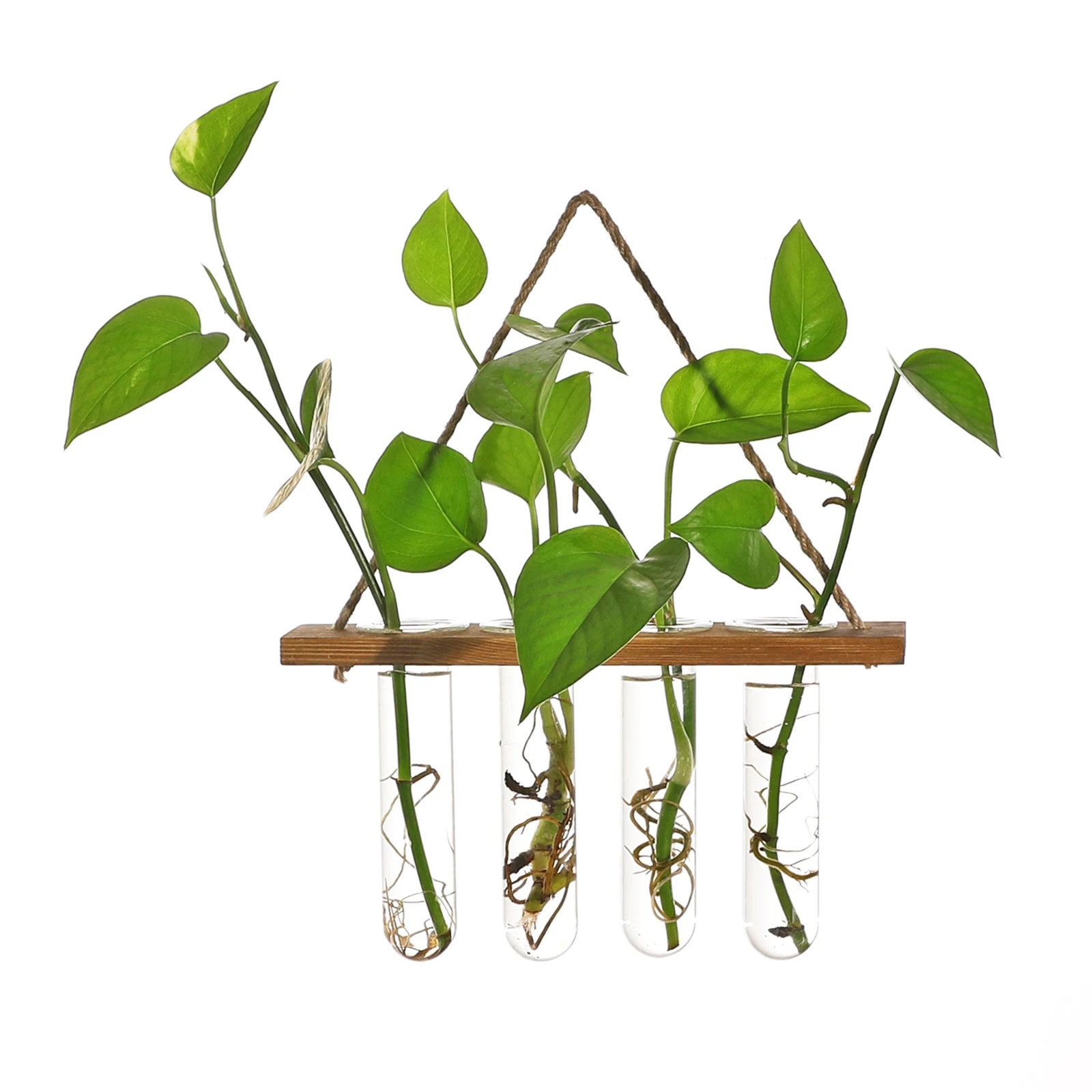 Glass Hanging Planter hydroponics Bohemia solid wood Wall hanging vases flower pots