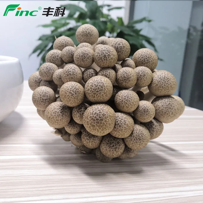 
Top Sale China Agricultural Product Shimeji Mushrooms Edible Mottled Fungi for Marketplace 