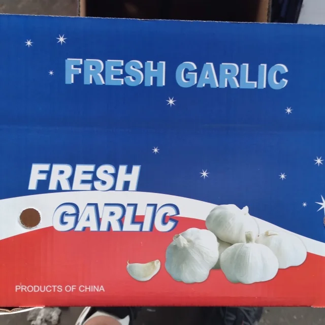 Cheap Price Shandong Fresh Vegetable Garlic  5.5cm Pure White Garlic