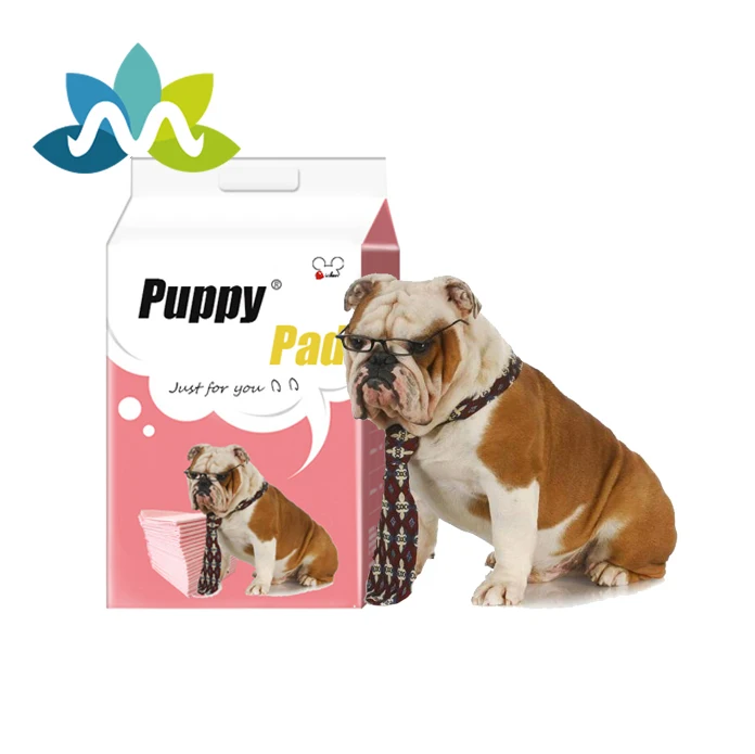 Disposable Dog Training Pads Manufacturer Puppy Pee Pads with Printed Patterns