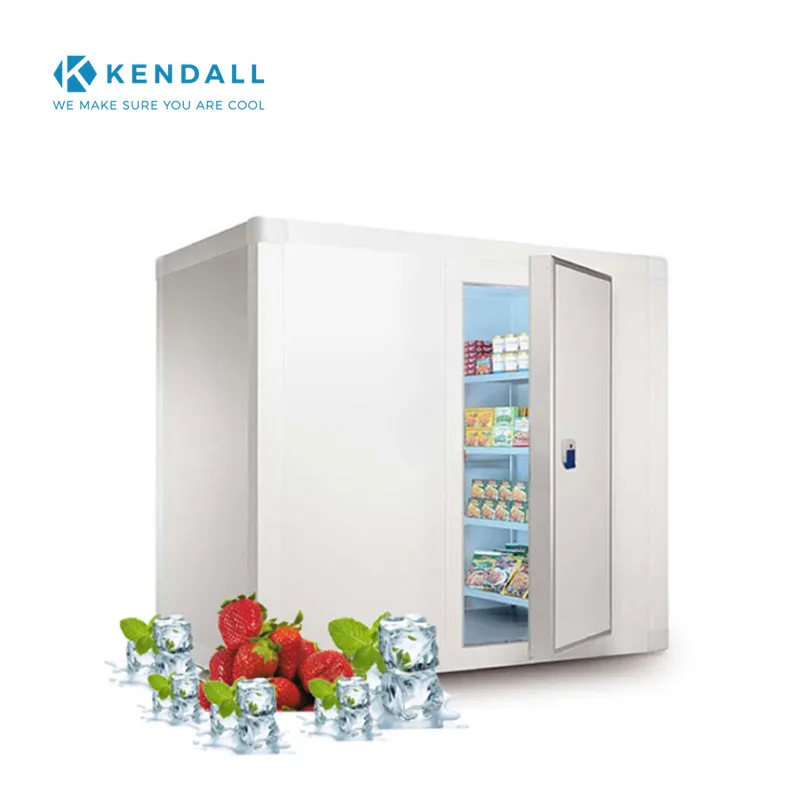Walk In Freezer Cold Room Walk In Cooler Cold Room Storage Freezer Container