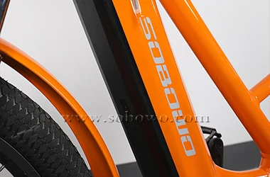 SOBOWO Two-wheel drive 26 inch 750W 48V/20AH flexible electric motorcycle Cargo long range ebike carrying goods electric bike