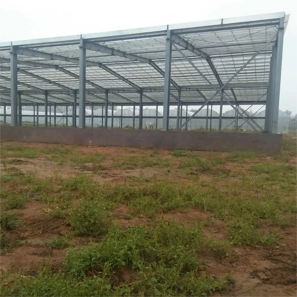 Chinese Suppliers New Design Awning Roofing Polycarbonate Sheet Car Carports Canopy