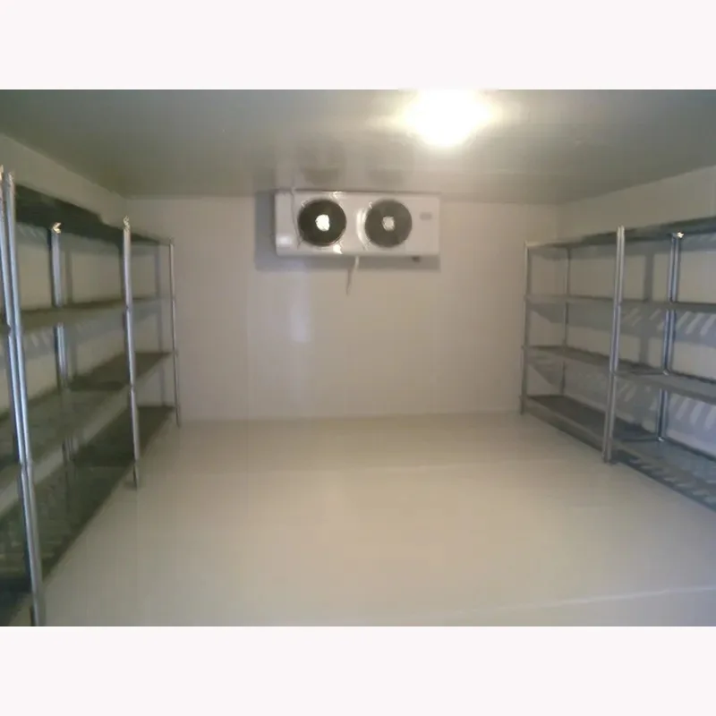 Solar cold storage room with DC inverter compressor
