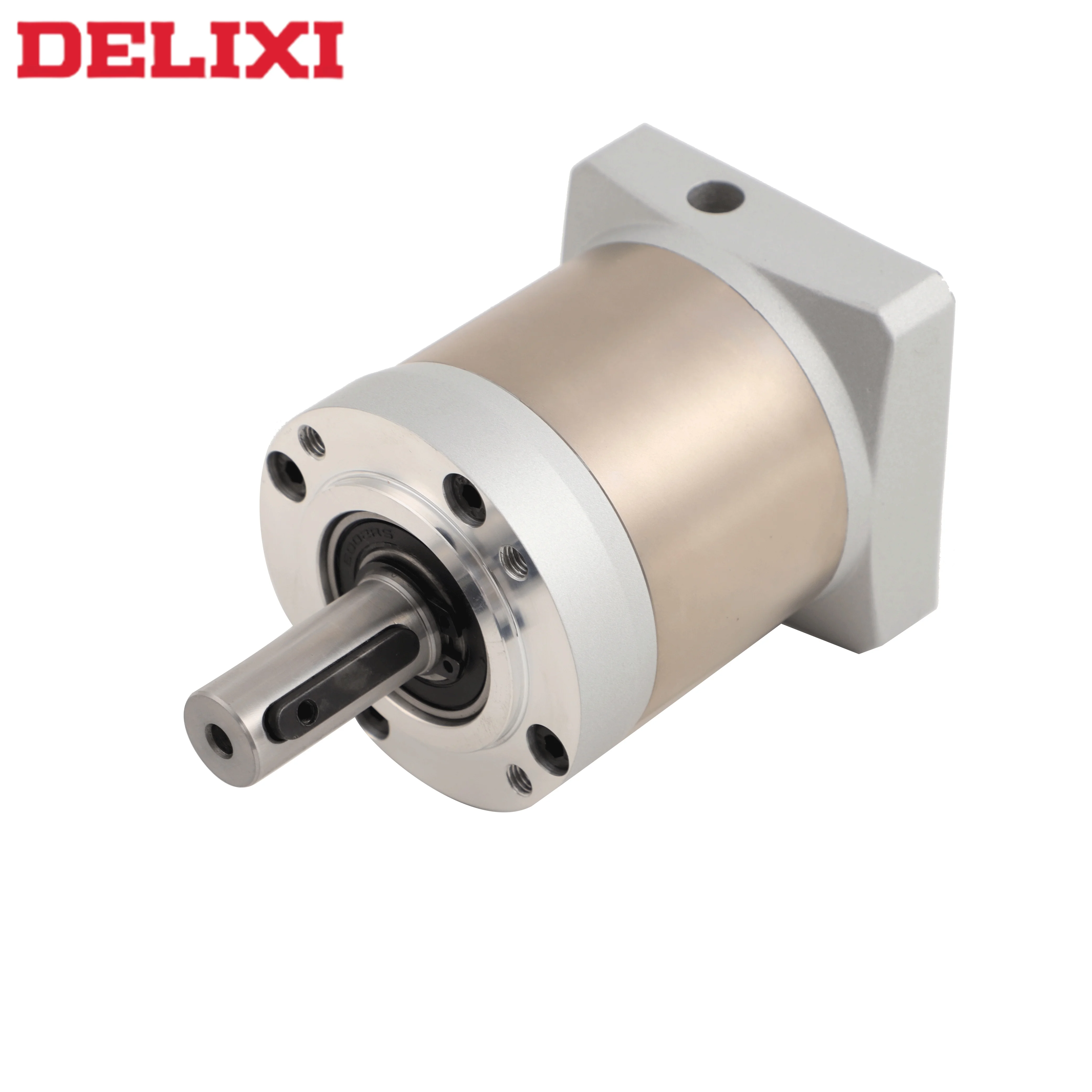 DELIXI ODM 60mm High Quality Powder Metallurgy Precision Planetary Gearbox Flange Spur Gear Stepper Motor Speed Machinery Farm