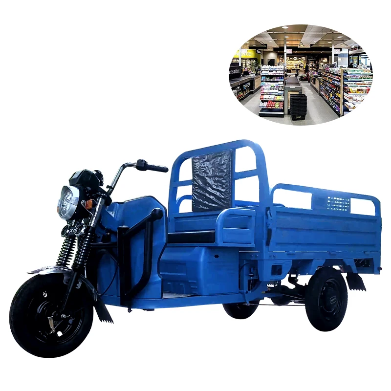 2024 New Design Cargo three wheels electric tricycles with strong power