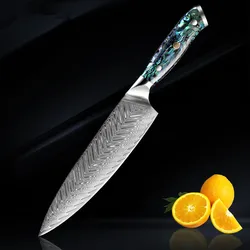 Abalone Shell Handle 67 Layers 8 Inch Japanese Damascus Chef Knife