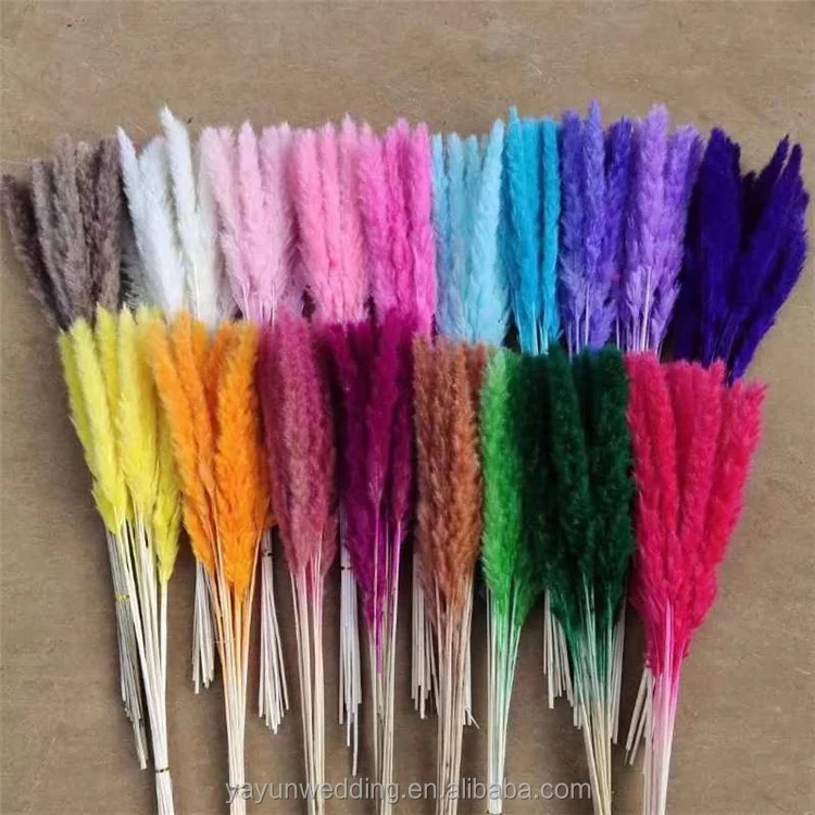 YAYUN CH2042 Hot Selling Home Decor Natural Dried Flower Pampas Grass