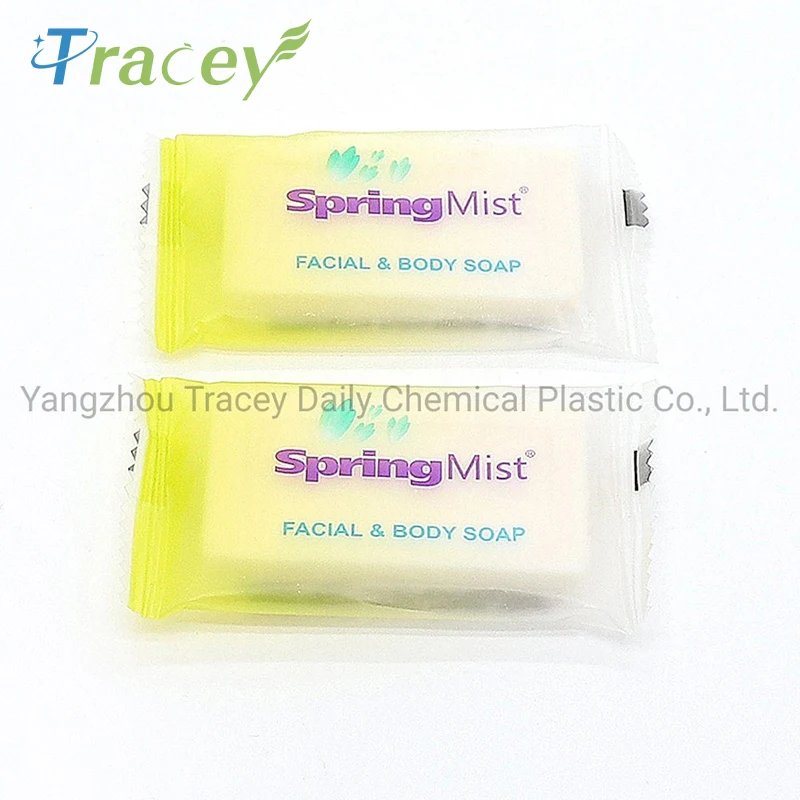 Small Organic Amenities Travel Round Toilet Bath Bar Soap Biodegradable Mini Hotel Soap