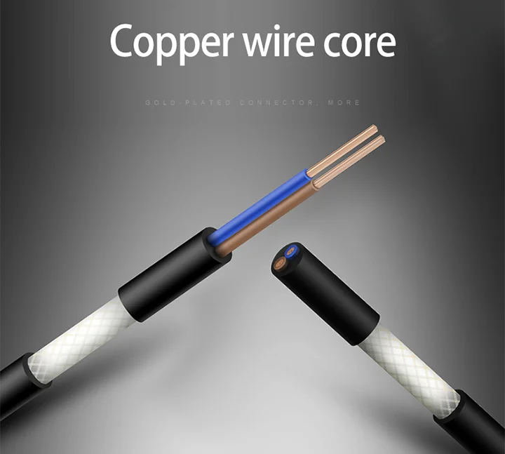 Amazon Basics 3.5mm to 2-Male RCA Adapter Audio Stereo Cable - 4 Feet