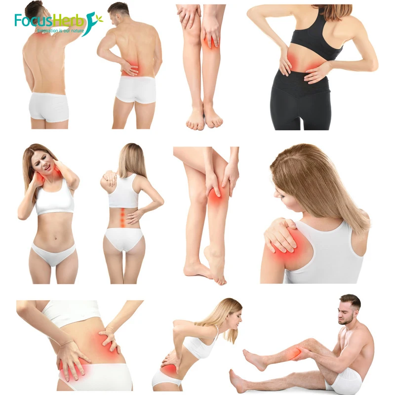 
FocusHerb PEA Powder 98% palmitoylethanolamide micronized 