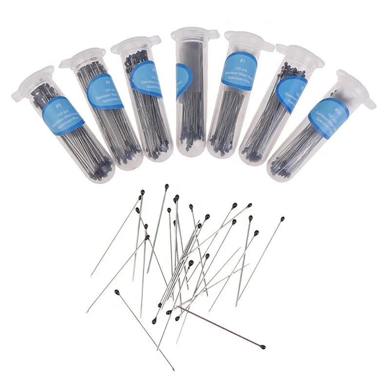 Stainless steel rubber head insect needle specimen needle high hardness sharp tip good elasticity 100 pieces / tube