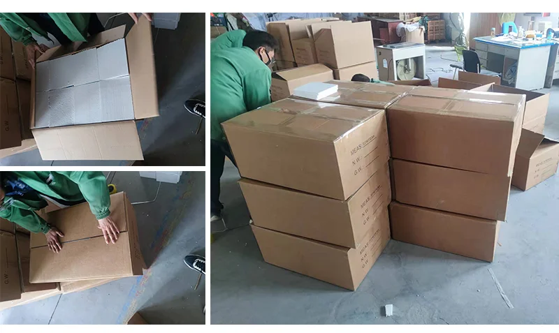 Medical science Model of human fertilization and early embryo development process Gynecological family planning display specimen