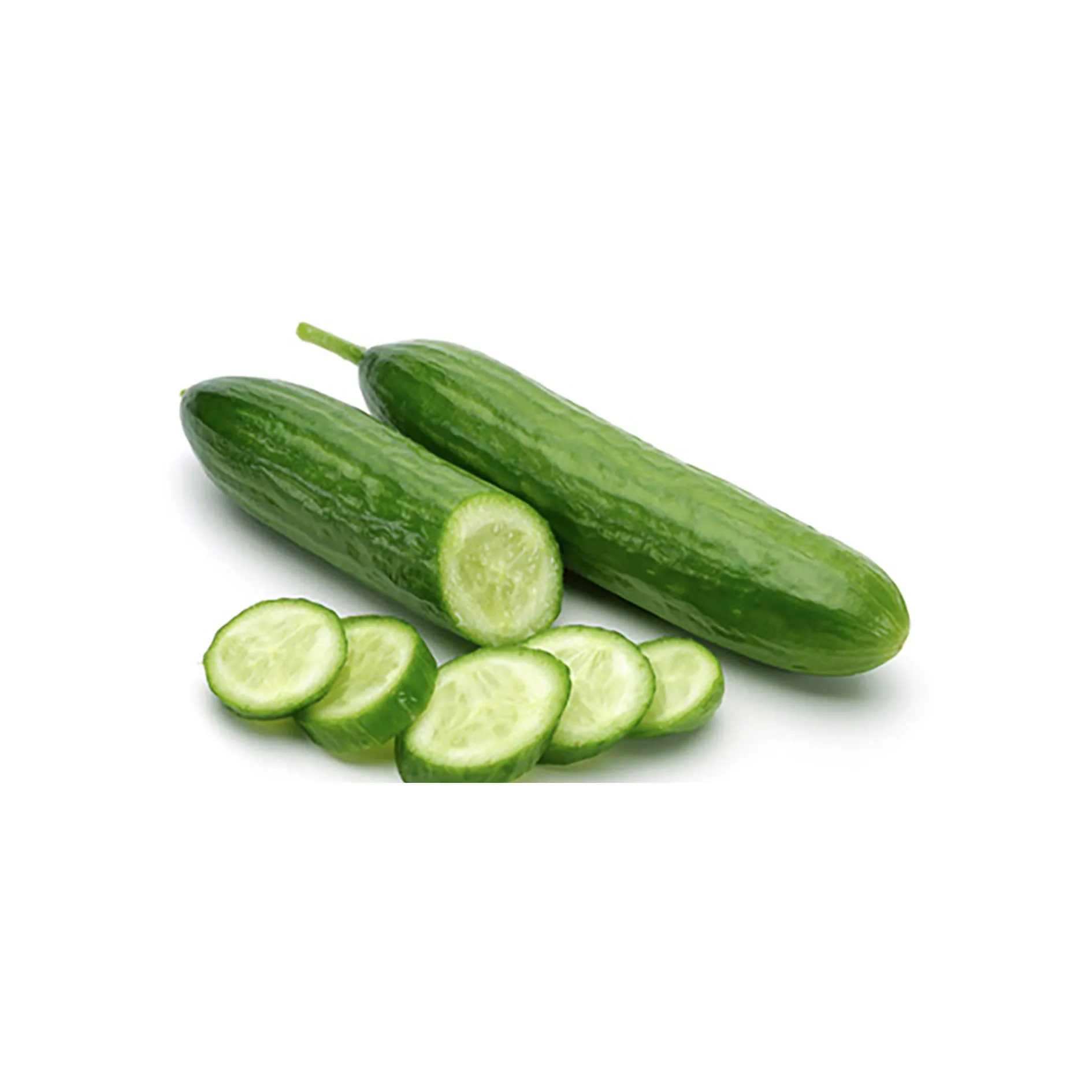 
Wholesale moroccan farms fresh vegetables fruits healthy tasty cucumber 